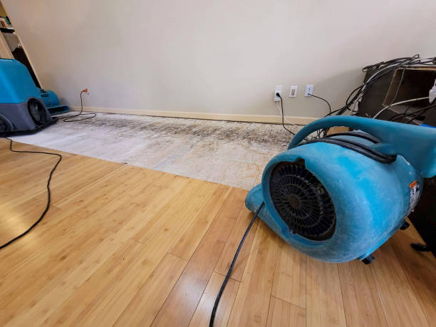 Professional Emergency Water Damage technician working in Wilson, LA